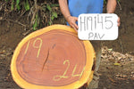 Slab LH19145PAV