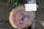 Slab LH17205RRO
