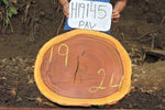 Slab LH19145PAV