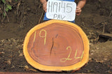 Slab LH19145PAV