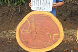 Slab LH19164PAV