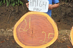 Slab LH19164PAV