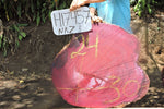 Slab LH17457NAZ