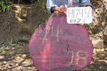 Slab LH17450NAZ