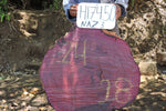 Slab LH17450NAZ