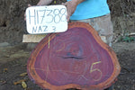 Slab LH17388NAZ
