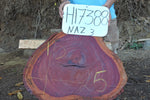 Slab LH17388NAZ