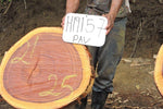 Slab LH19157PAV