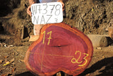 Slab LH17378NAZ