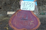 Slab LH17388NAZ