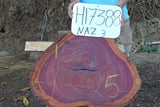 Slab LH17388NAZ