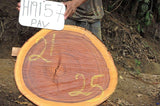 Slab LH19157PAV