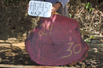 Slab LH17451NAZ