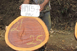 Slab LH19157PAV