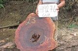 Slab LH19276GUA