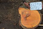 Slab LH17234MOR