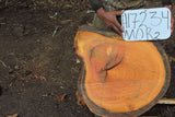 Slab LH17234MOR