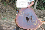 Slab LH19258GUA