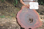Slab LH19276GUA