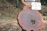 Slab LH19276GUA