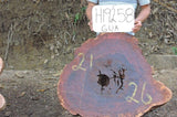 Slab LH19258GUA