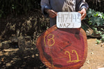 Slab LH17443NAZ