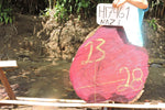 Slab LH17461NAZ