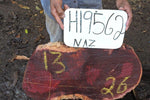 Slab LH19562NAZ