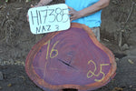 Slab LH17385NAZ