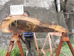 Slab N18109