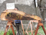 Slab N18109