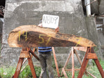 Slab N18109