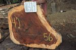 Slab LH16319