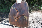 Slab LH15797