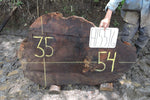 Slab LH15516