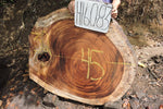 Slab LH16083