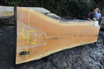 Slab J18157
