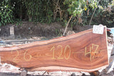 Slab J17056