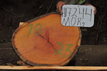 Slab LH17244MOR