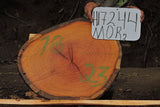 Slab LH17244MOR