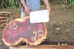 Slab LH19559NAZ