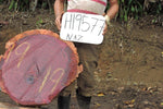 Slab LH19577NAZ