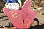 Slab LH17362NAZ