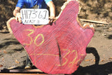 Slab LH17362NAZ