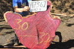 Slab LH17362NAZ