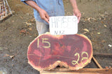 Slab LH19559NAZ