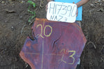 Slab LH17390NAZ