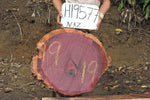 Slab LH19577NAZ