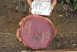 Slab LH19577NAZ
