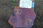 Slab LH17390NAZ